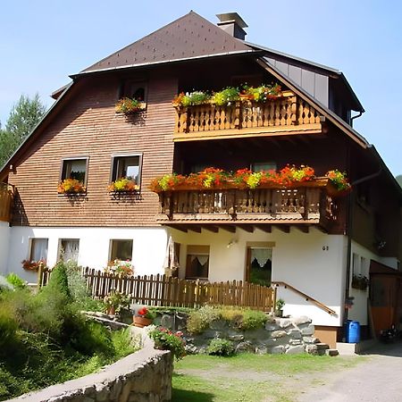 トートナウHaus Mariaアパートメント エクステリア 写真