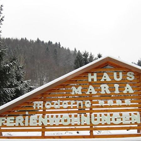 トートナウHaus Mariaアパートメント エクステリア 写真