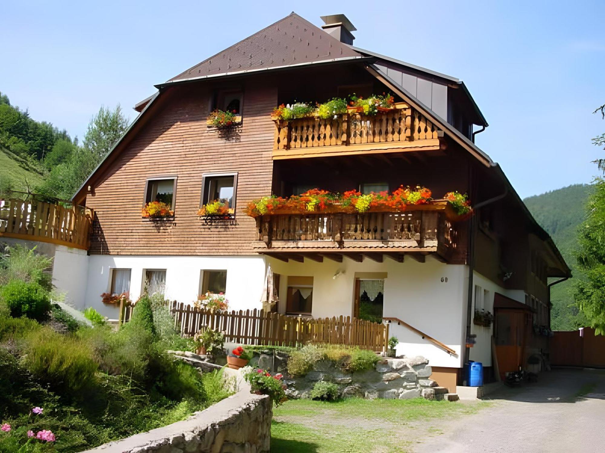 トートナウHaus Mariaアパートメント エクステリア 写真