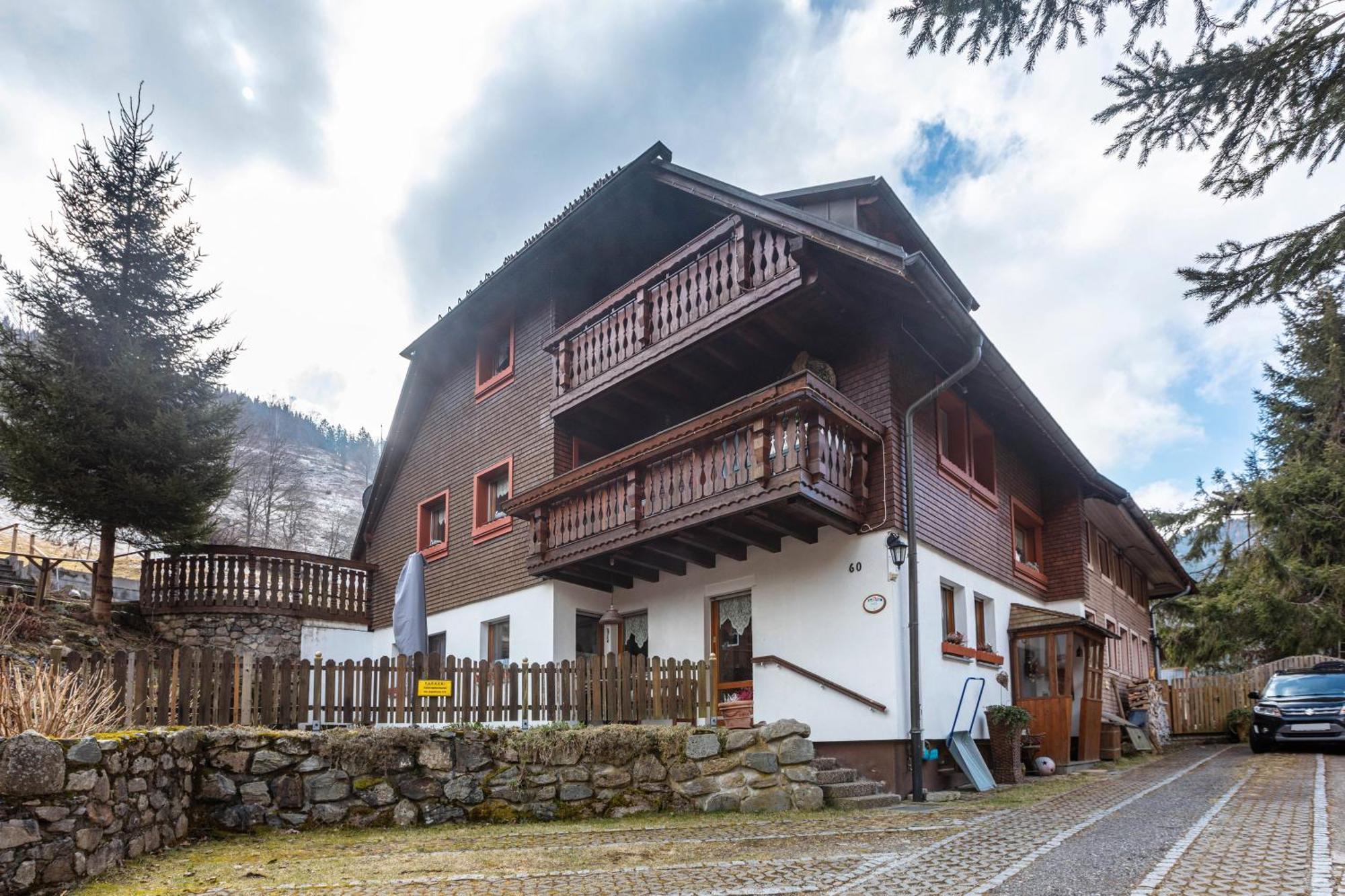 トートナウHaus Mariaアパートメント エクステリア 写真