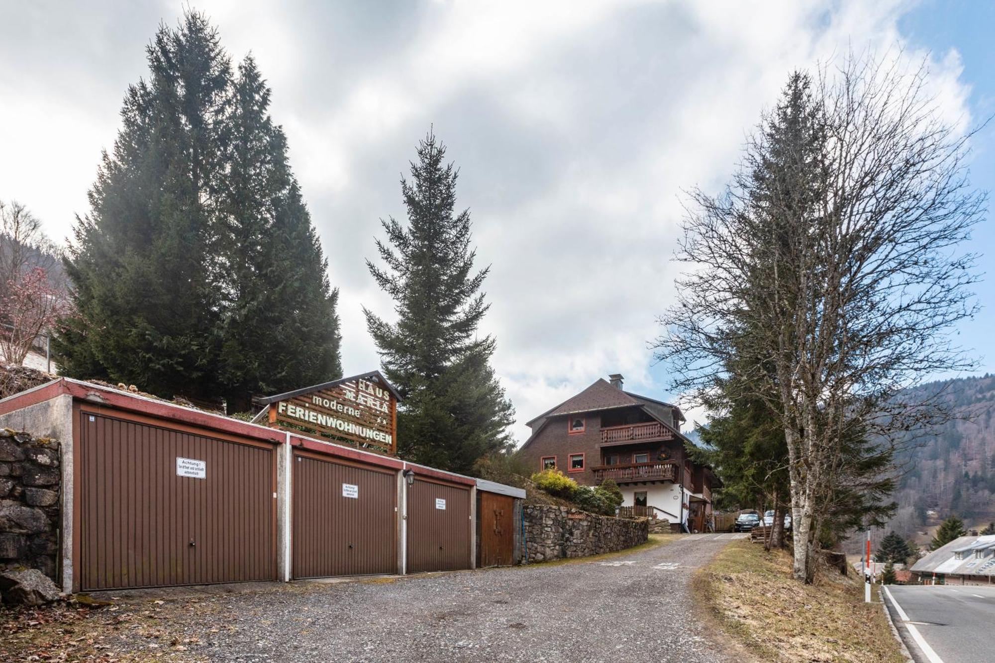 トートナウHaus Mariaアパートメント エクステリア 写真